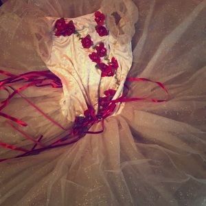 Revolution dance ballet costume